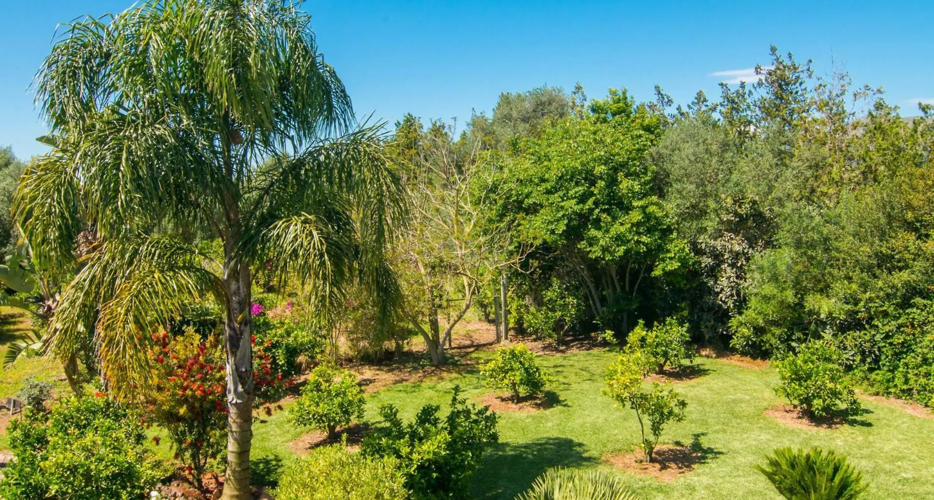 Finca S'Estable By Rentallorca Llubi 0*,